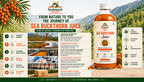 A promotional infographic for Vedamrit Sea Buckthorn Juice, featuring a large bottle of amber-colored juice on the right, surrounded by text detailing the product's journey, benefits, and production process. The left side includes a step-by-step timeline from harvest to delivery, set against a background of sea buckthorn branches and berries.