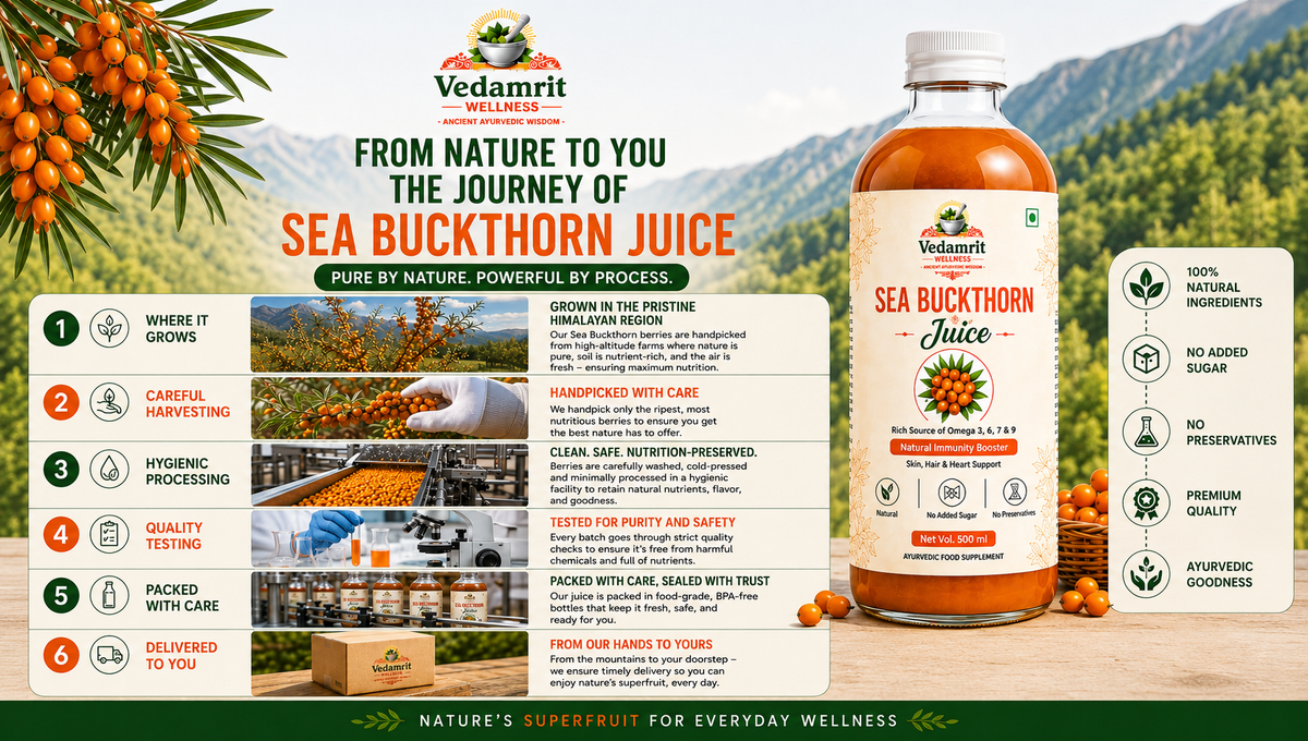 A promotional infographic for Vedamrit Sea Buckthorn Juice, featuring a large bottle of amber-colored juice on the right, surrounded by text detailing the product's journey, benefits, and production process. The left side includes a step-by-step timeline from harvest to delivery, set against a background of sea buckthorn branches and berries.